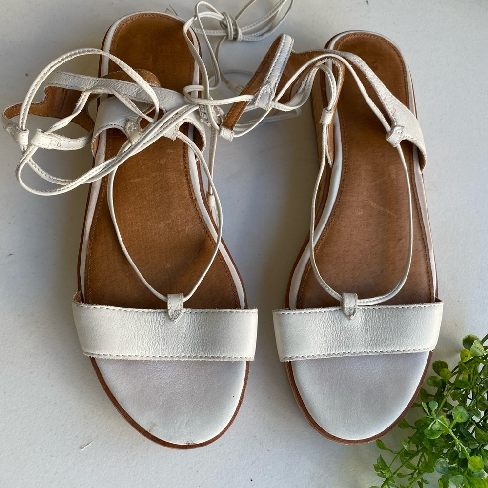 Frye gladiator sandals